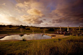 Hlosi Game Lodge - Amakhala Game Reserve